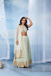 Light Green/Mint Gold Embroidered Banaras Silk Lehenga