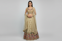 AMO-1041 - Lehenga Choli Tissue Handmade