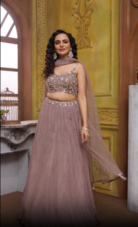 Gray-Brown Ghagra Choli